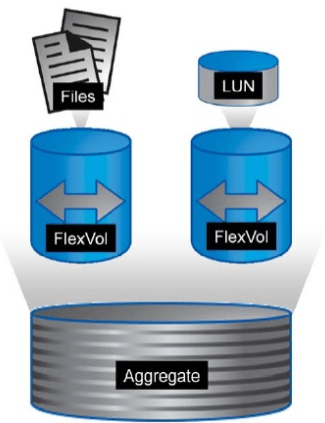 FlexVol — вся сила в гибкости